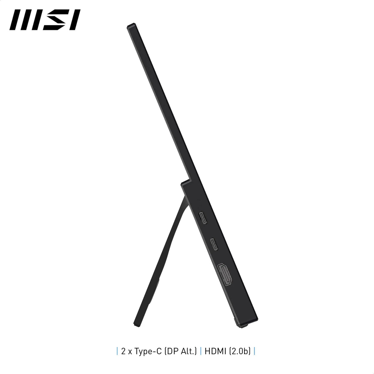 MSI PRO MAX 241PHW E14