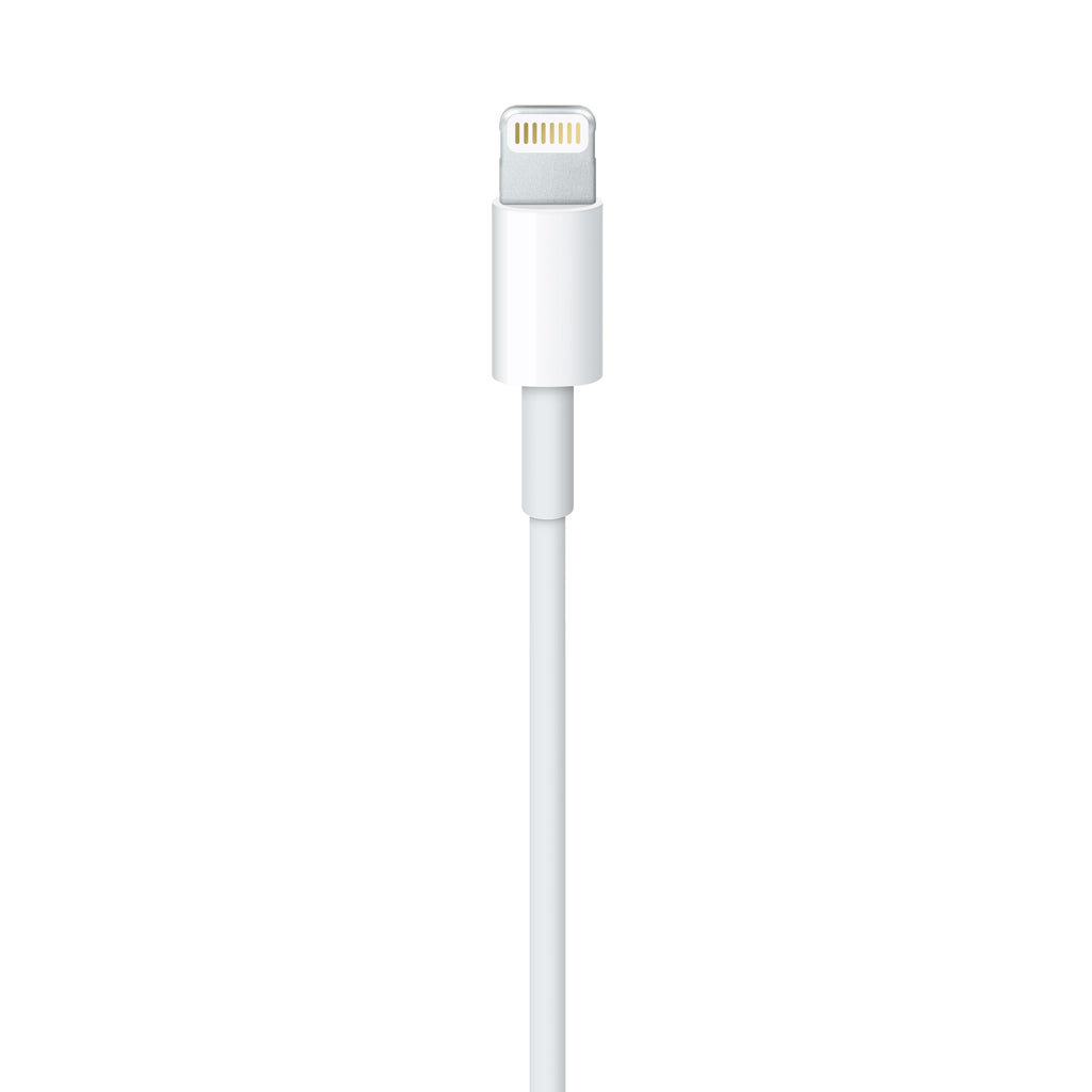 Apple USB-C to Lightning Cable