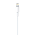 Apple USB-C to Lightning Cable