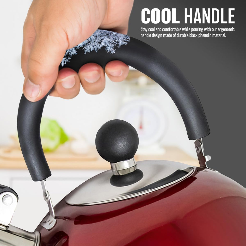 2.5L Stainless Steel Whistling Kettle - Suitable for Fishing, Camping, Hiking, Indoor & Outdoor | Camping Kettle for Gas Stove, Electric Stove, Camp Fire | Lightweight, Fast Boil, Phenolic Handle