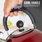 2.5L Stainless Steel Whistling Kettle - Suitable for Fishing, Camping, Hiking, Indoor & Outdoor | Camping Kettle for Gas Stove, Electric Stove, Camp Fire | Lightweight, Fast Boil, Phenolic Handle