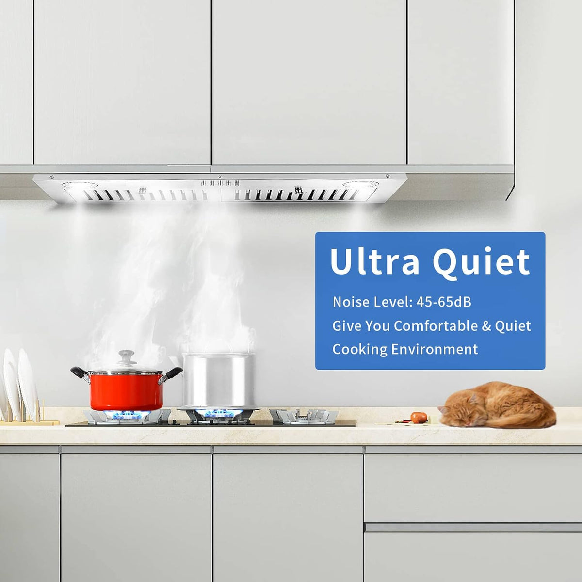 Range Hood Insert 30 inch,Stainless Steel Kitchen Vent Hood 600CFM,Built-in Kitchen Stove Hood w/Front Button Controls and Front LED Lights,Baffle Filters,Ducted/ductless Convertible Duct