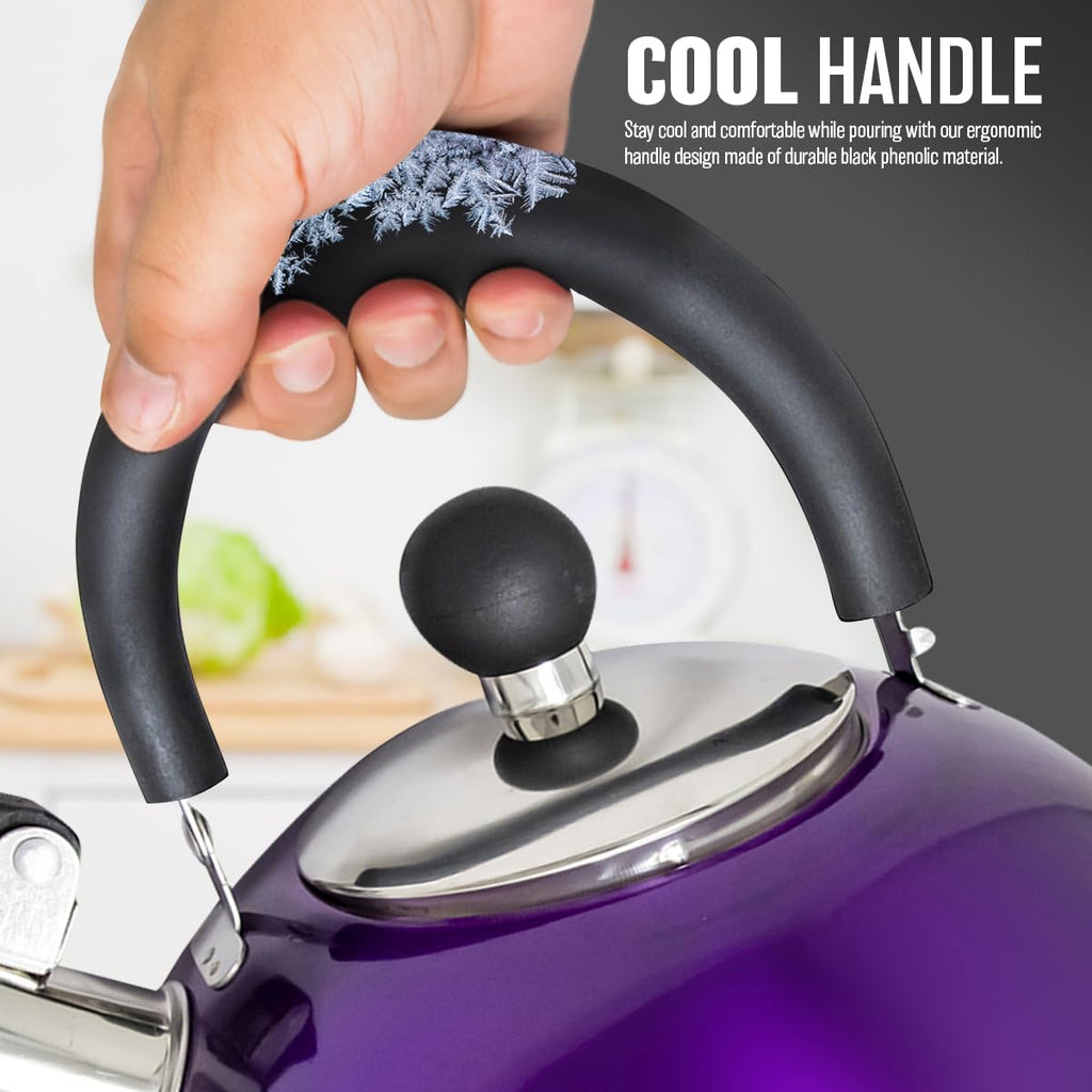 2.5L Stainless Steel Whistling Kettle - Suitable for Fishing, Camping, Hiking, Indoor & Outdoor | Camping Kettle for Gas Stove, Electric Stove, Camp Fire | Lightweight, Fast Boil, Phenolic Handle