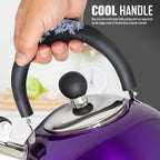 2.5L Stainless Steel Whistling Kettle - Suitable for Fishing, Camping, Hiking, Indoor & Outdoor | Camping Kettle for Gas Stove, Electric Stove, Camp Fire | Lightweight, Fast Boil, Phenolic Handle