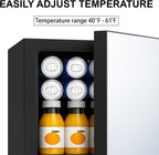 DOGHLY 0.95 Cu.Ft Mini Fridge Mirror Door for Beverages & Skincare, 24 Cans