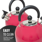 2.5L Stainless Steel Whistling Kettle - Suitable for Fishing, Camping, Hiking, Indoor & Outdoor | Camping Kettle for Gas Stove, Electric Stove, Camp Fire | Lightweight, Fast Boil, Phenolic Handle