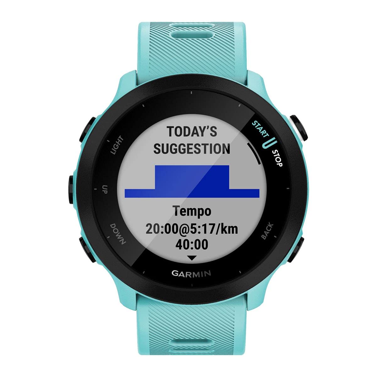 Garmin Forerunner 55 Easy to Use Lightweight GPS Running Smartwatch, Running and Training Guidance, Safety and Tracking Features included