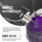2.5L Stainless Steel Whistling Kettle - Suitable for Fishing, Camping, Hiking, Indoor & Outdoor | Camping Kettle for Gas Stove, Electric Stove, Camp Fire | Lightweight, Fast Boil, Phenolic Handle