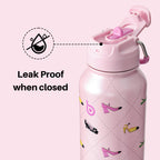 BOTTLE BOTTLE Stainless Steel Bottle with Straw and Pill Box