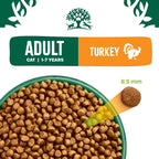 James Wellbeloved Hypoallergenic Dry Cat Food for Adult Cats Turkey 4 kg