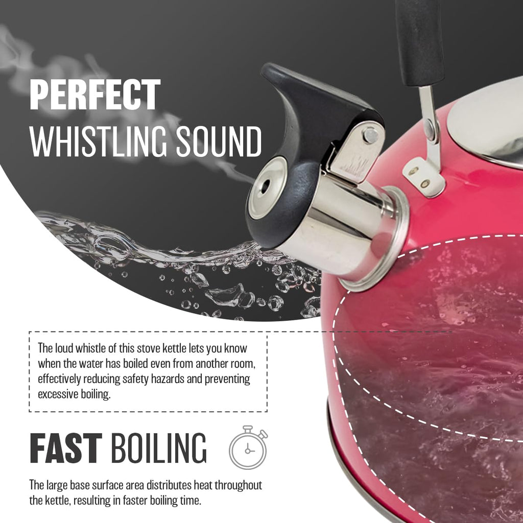 2.5L Stainless Steel Whistling Kettle - Suitable for Fishing, Camping, Hiking, Indoor & Outdoor | Camping Kettle for Gas Stove, Electric Stove, Camp Fire | Lightweight, Fast Boil, Phenolic Handle