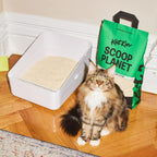 KatKin Scoop Planet Litter (2x4.5kg/12.8L bag): Plant-Based, 100% Biodegradable, Non-Tracking, Clumping Cat Litter Made With Non-Toxic, Eco-Friendly Pea fibre & Millet