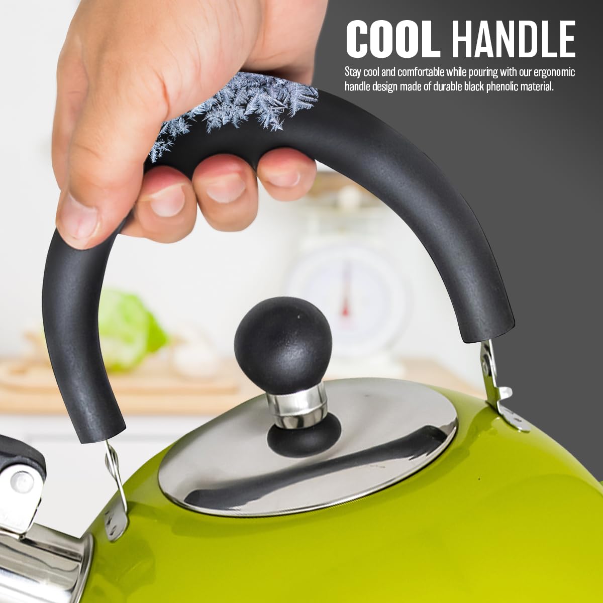 2.5L Stainless Steel Whistling Kettle - Suitable for Fishing, Camping, Hiking, Indoor & Outdoor | Camping Kettle for Gas Stove, Electric Stove, Camp Fire | Lightweight, Fast Boil, Phenolic Handle