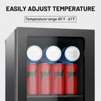 DOGHLY 0.95 Cu.Ft Mini Fridge Mirror Door for Beverages & Skincare, 24 Cans