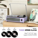 Seasonlife® Retro Vinyl Record Player with Stereo Speakers,Walnut Brown