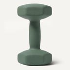 Amazon Basics Neoprene Dumbbell Pair