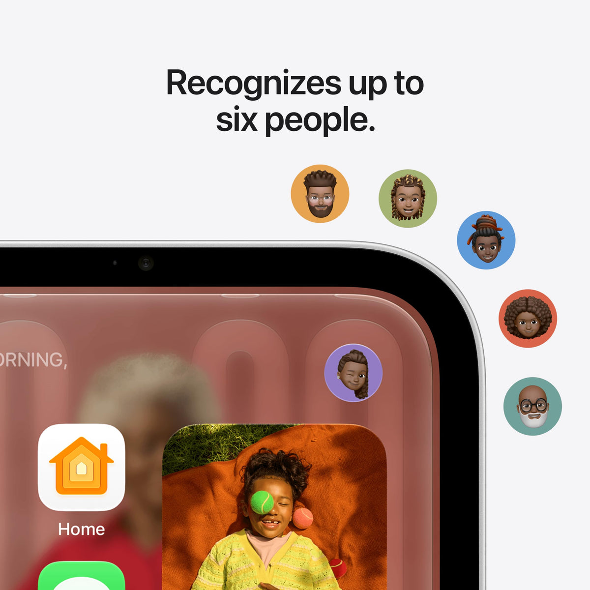 Apple HomeView - Silver