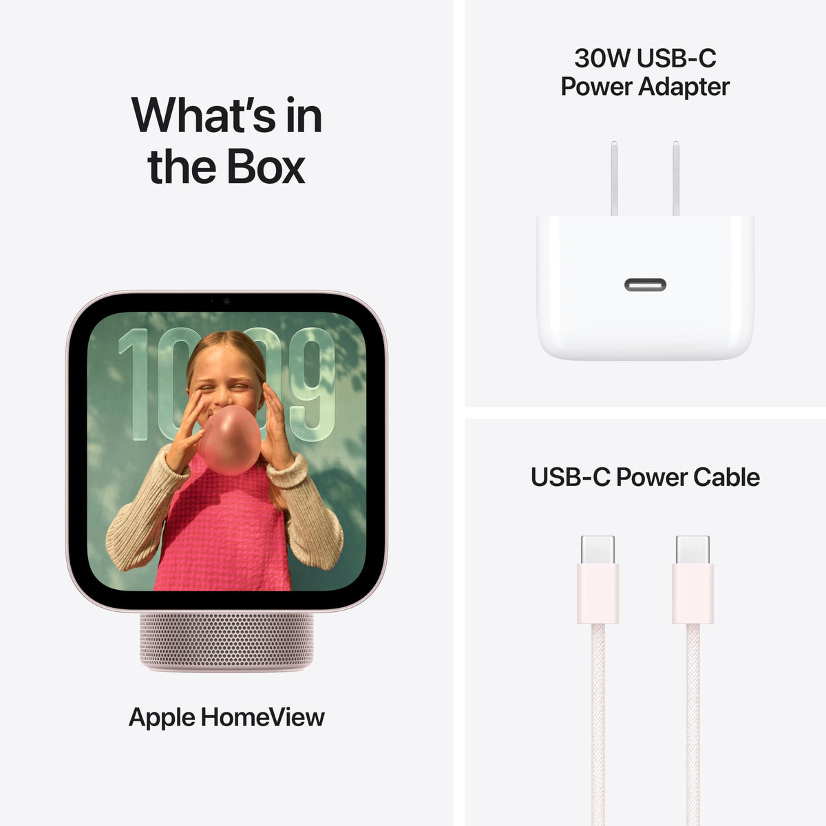 Apple HomeView - Silver