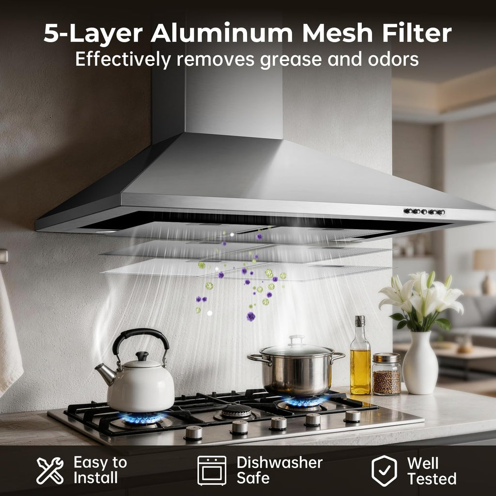 24 inch Range Hood, Ducted/Ductless Range Hood 450CFM, Wall Mount