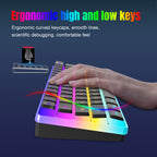 Snpurdiri 60% Wired Mechanical Gaming Keyboard, Ice Blue LED Backlit 61 Keys Mini Wired Office Keyboard for Windows Laptop PC Mac (Black-White, Red Switches)