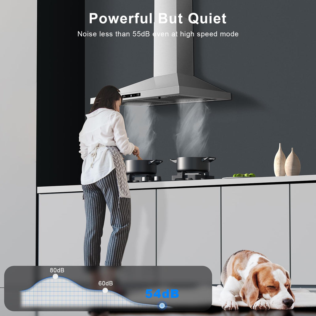 24 inch Range Hood, Ducted/Ductless Range Hood 450CFM, Wall Mount