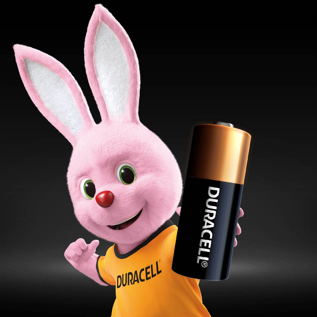 DURACELL MN21 Specialty Alkaline Battery (2 Pack) 12V, A23/8LR932