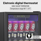 DOGHLY 0.95 Cu.Ft Mini Fridge Mirror Door for Beverages & Skincare, 24 Cans