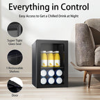 DOGHLY 0.95 Cu.Ft Mini Fridge Mirror Door for Beverages & Skincare, 24 Cans