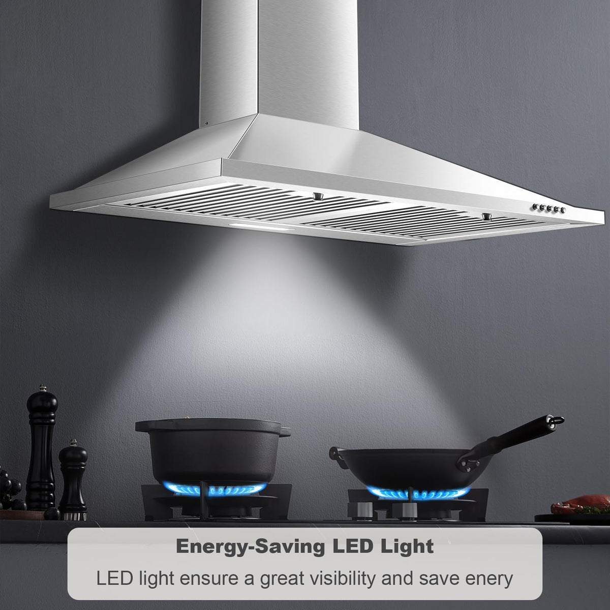 24 inch Range Hood, Ducted/Ductless Range Hood 450CFM, Wall Mount