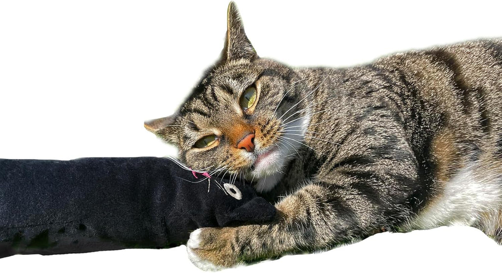 British-Made Refillable Catnip Kicker Toy – 50cm Plush Black Cat with Front Pocket & Bonus Catnip Refill Bag – Freshly Made in the UK, Durable & Eco-Friendly Fun (Black, Catnip, Refillable Cat Kicker)