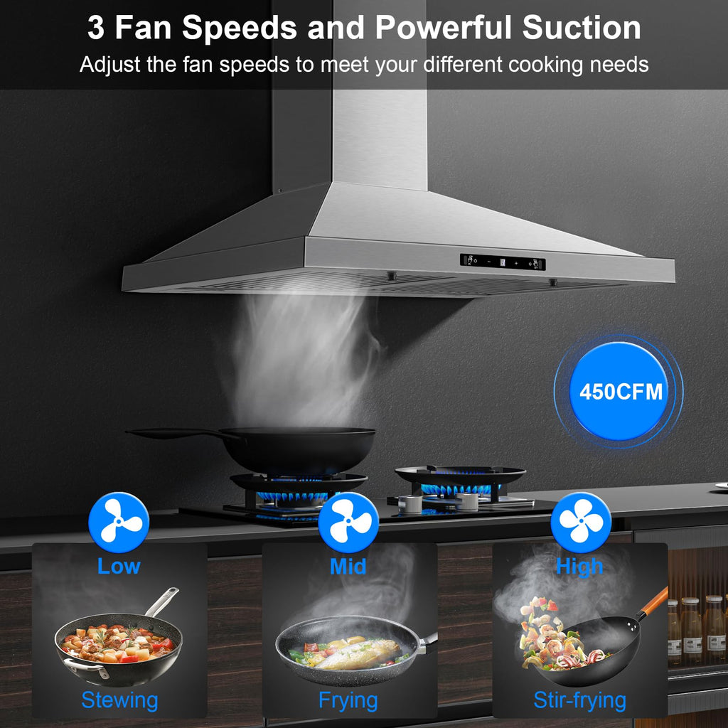 24 inch Range Hood, Ducted/Ductless Range Hood 450CFM, Wall Mount