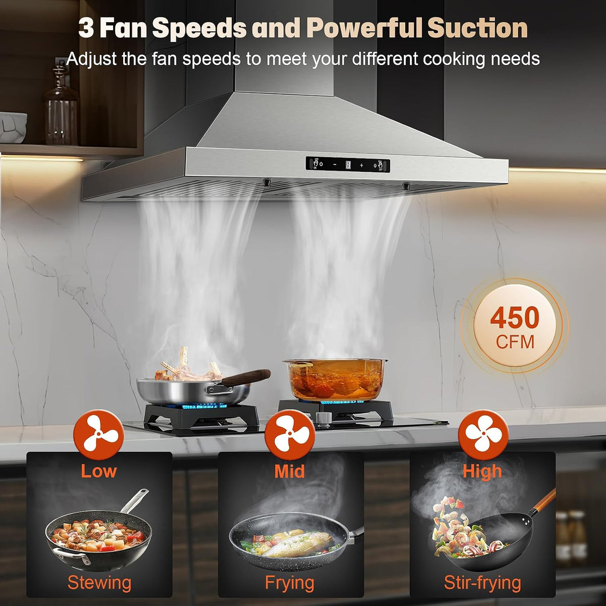 24 inch Range Hood, Ducted/Ductless Range Hood 450CFM, Wall Mount