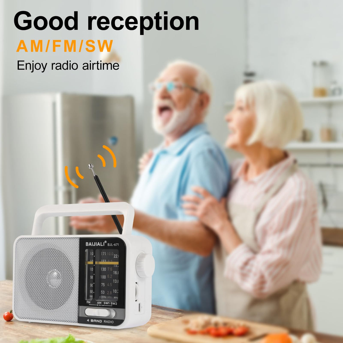 Portable AM/FM Transistor Radio with Loud Speaker, Battery or USB Powered
