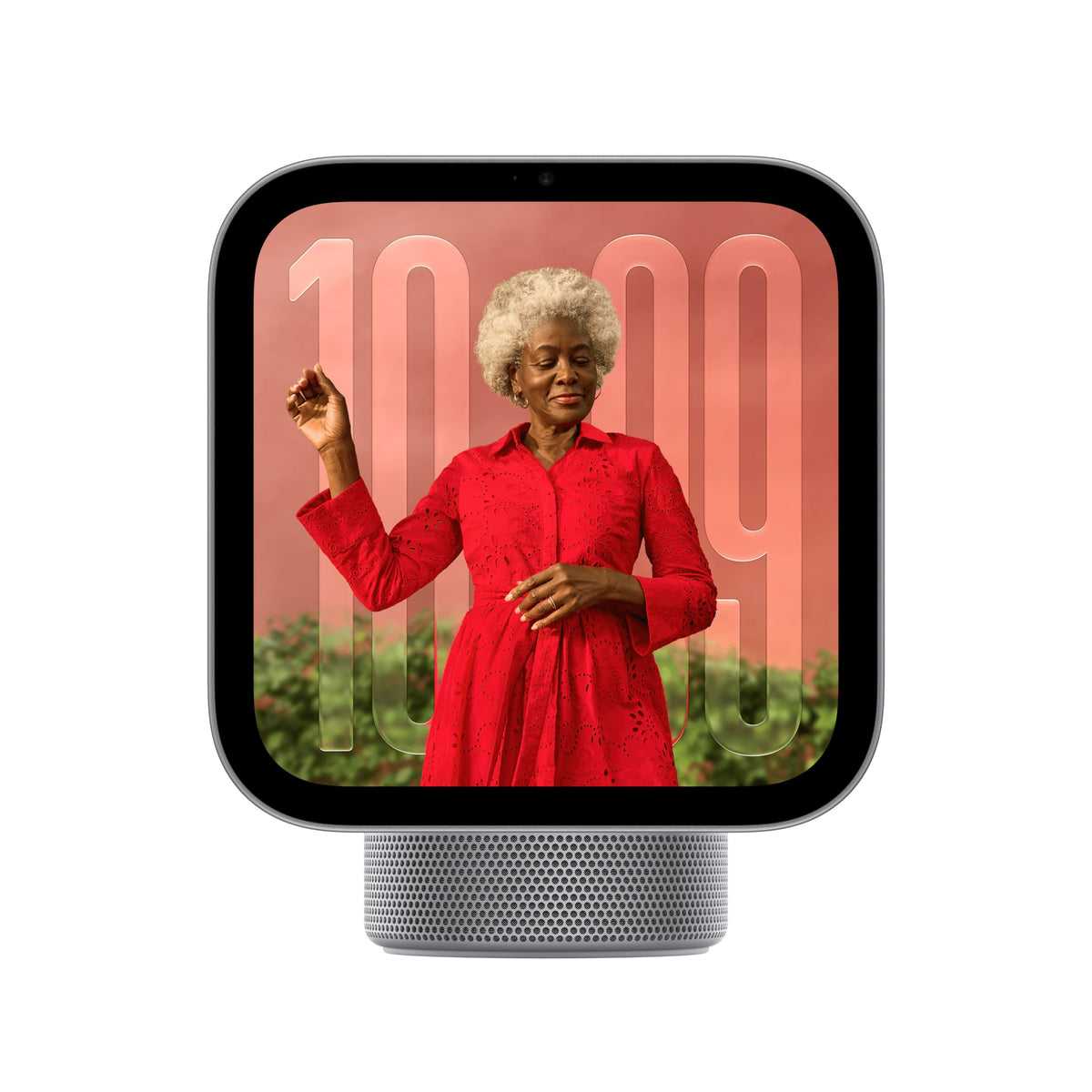 Apple HomeView - Silver