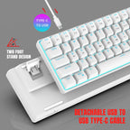 Snpurdiri 60% Wired Mechanical Gaming Keyboard, Ice Blue LED Backlit 61 Keys Mini Wired Office Keyboard for Windows Laptop PC Mac (Black-White, Red Switches)