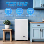 DEMULLER 3.2 CU.FT Small Deep Freezer with Electronic Panel Black