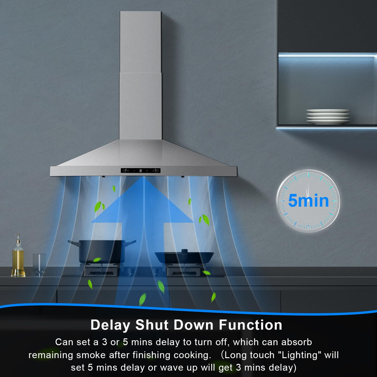 24 inch Range Hood, Ducted/Ductless Range Hood 450CFM, Wall Mount