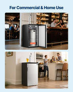VEVOR Beer Kegerator, Single Tap Commercial Draft Beer Dispenser for D system, Full Size Keg Refrigerator with 5lbs CO2 Tank, Hold 2 Sixth / 2 Ball lock keg, Black