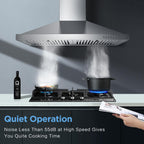 Wall Mount Range Hood 30 inch, 900 CFM Stainless Steel Kitchen Hood