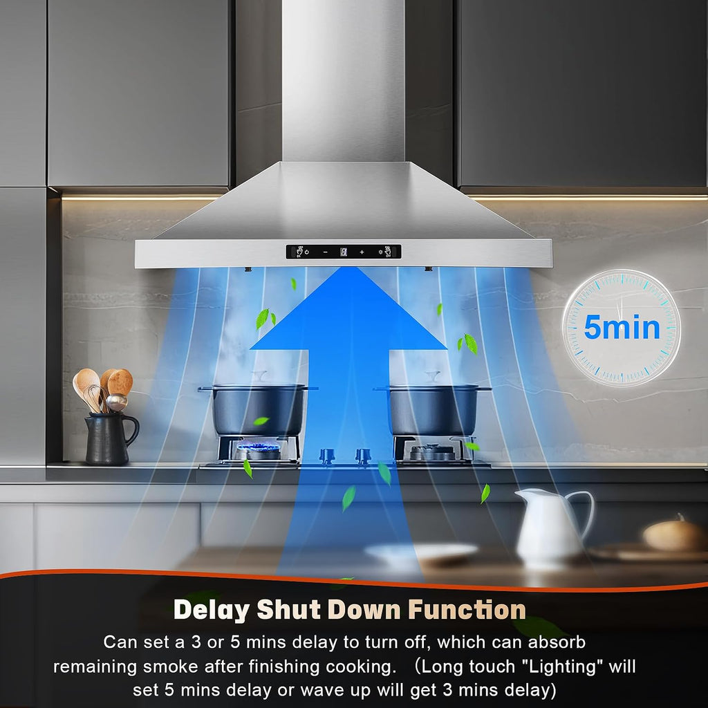 24 inch Range Hood, Ducted/Ductless Range Hood 450CFM, Wall Mount