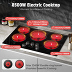 2 Burner Electric Cooktop 110V, 2000W, 24" Countertop & Built-in