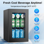 Electactic 48 Can Beverage Refrigerator,12 Bottle Wine Cooler with Seamless Stainless Steel & Glass Door, Digital Temperature Display, Countertop Mini Fridge for Soda, Wine or Beer, Silver