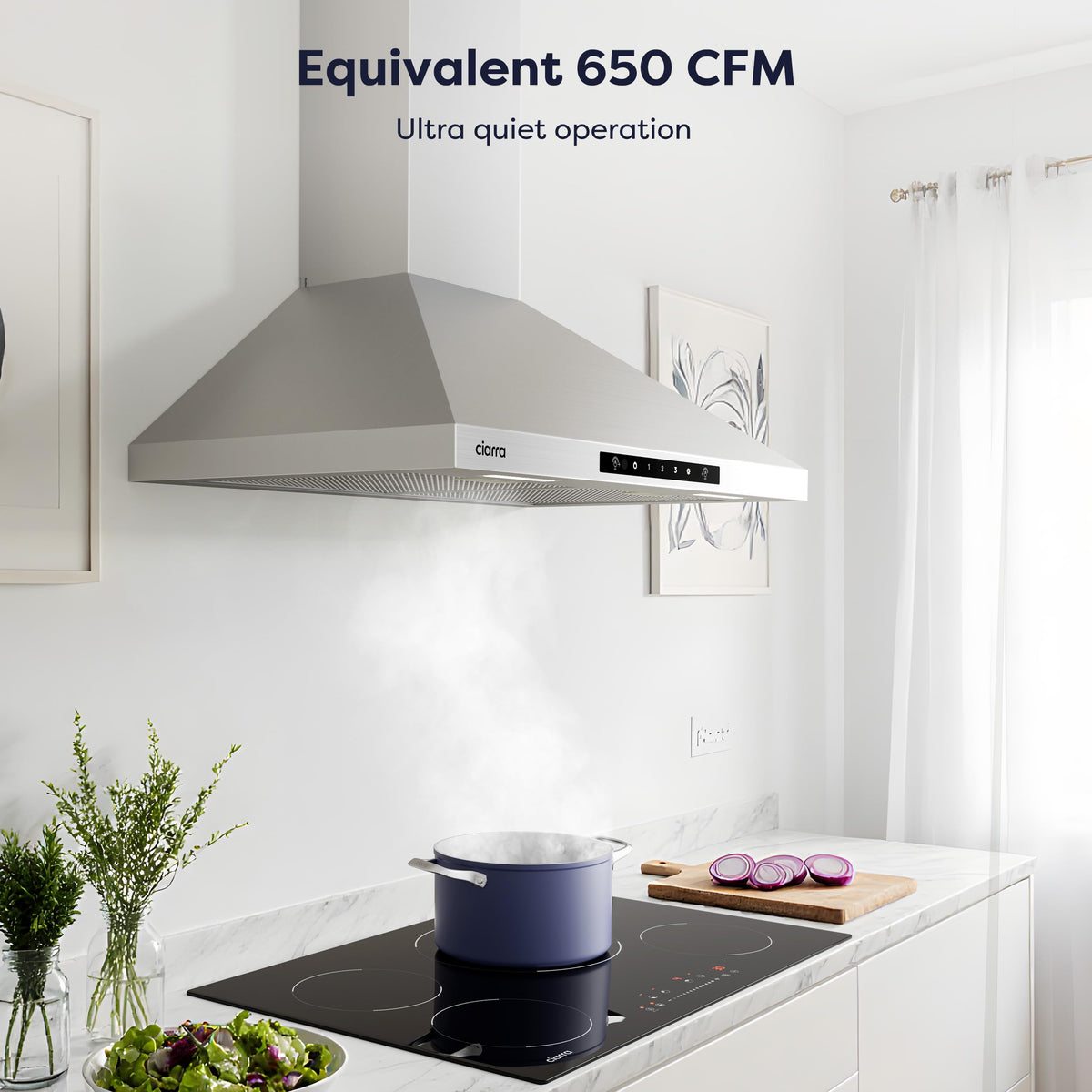 CIARRA Portable Range Hood, 2-Speed Desktop Kitchen Exhaust Fan