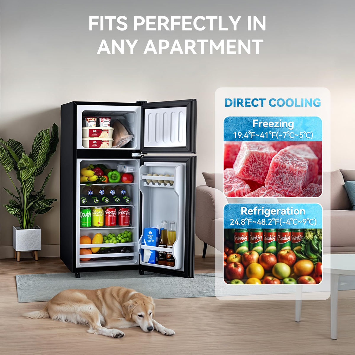 Anypro 4.0 Cu.Ft Fridge with Bottom Freezer, 2 Door Refrigerator with Drawer, 7 Level Temperatures and Adjustable Shelves for Bedroom, Dorm, Office, Apartment, Silver