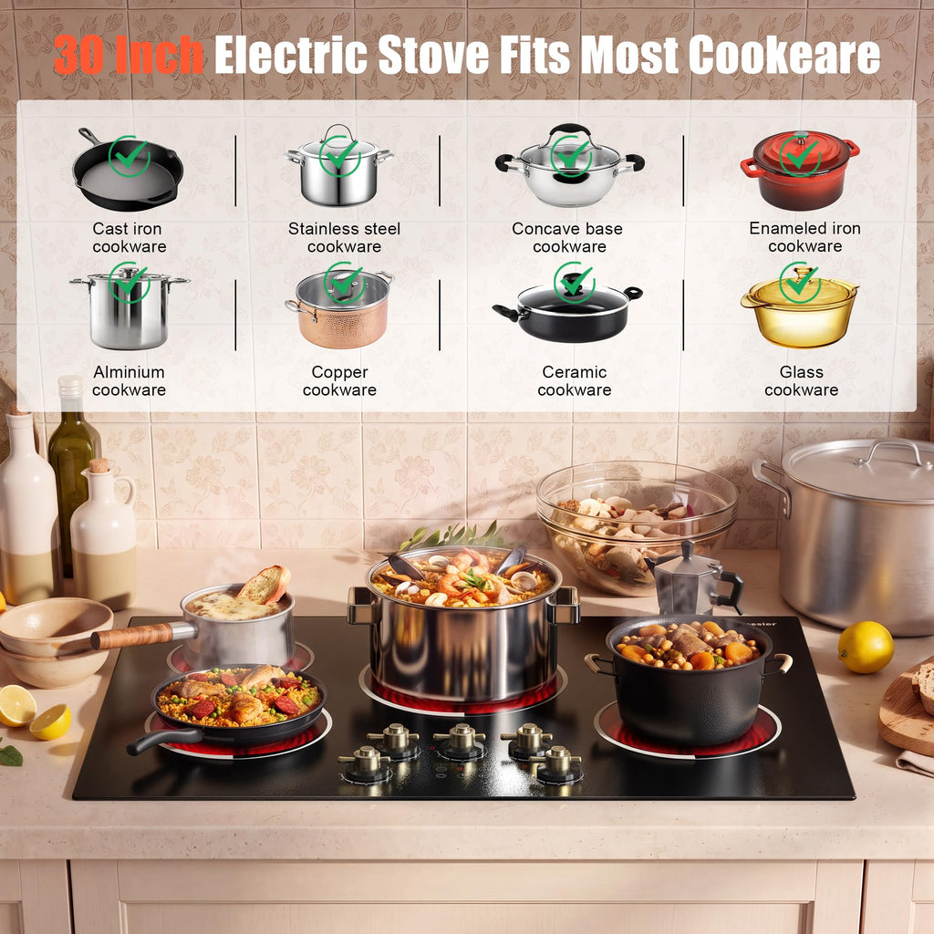 2 Burner Electric Cooktop 110V 2000W Countertop or Built-in