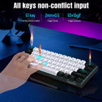 Snpurdiri 60% Wired Mechanical Gaming Keyboard, Ice Blue LED Backlit 61 Keys Mini Wired Office Keyboard for Windows Laptop PC Mac (Black-White, Red Switches)
