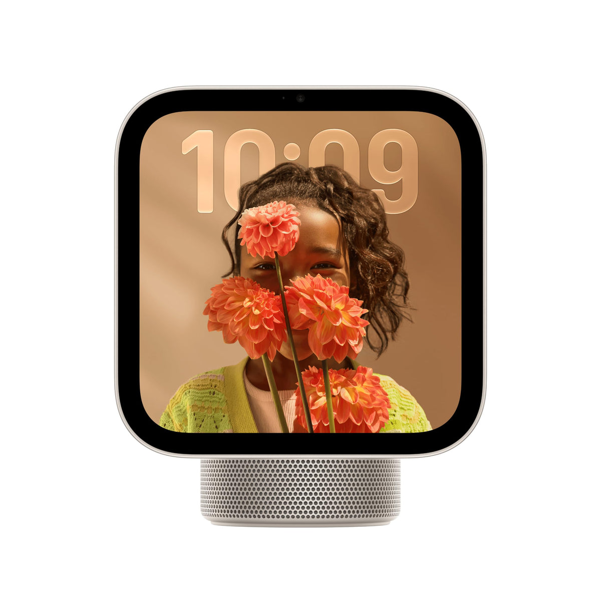 Apple HomeView - Silver