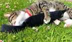 British-Made Refillable Catnip Kicker Toy – 50cm Plush Black Cat with Front Pocket & Bonus Catnip Refill Bag – Freshly Made in the UK, Durable & Eco-Friendly Fun (Black, Catnip, Refillable Cat Kicker)