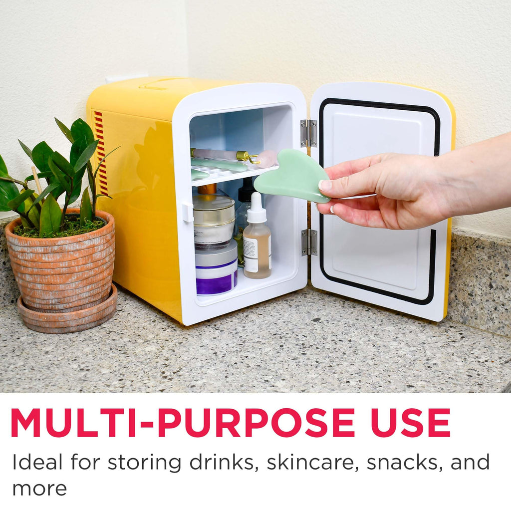 Frigidaire Retro Mini Compact Beverage Cooler, Great for Keeping Office Lunch Cool! (Built-in Bluetooth Speaker)